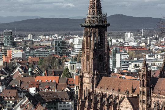 The Freiburg Muenster is a big cathedral