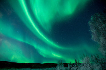 Obraz na płótnie Canvas Dramatic green Aurora Borealis in Alaska night sky