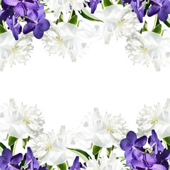 Fototapeta na wymiar Beautiful floral background of orchid Vanda and white peonies 