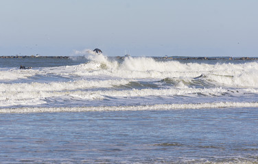 Florida Surf