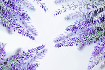 Lavender branches background
