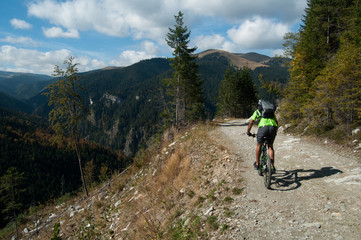 Fototapeta na wymiar Mountain biking