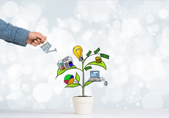 Drawn income tree in white pot for business investment savings and making money