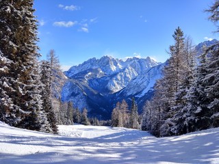 Alps in Winter Landscape