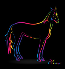 Horse with colorful outline vector