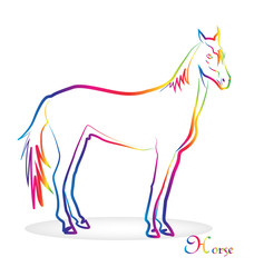 Obraz premium Horse with colorful outline vector