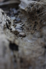 Trail of Rocks