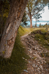 path 