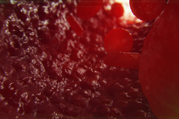 3D Illustration red blood cells in vein. Red blood cells flow in vessel. medical human health-care concept.