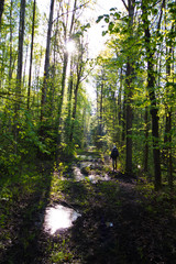 Spring road with paddle