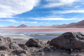 Laguna Colorada Flamingoes, Uyuni, Bolivia