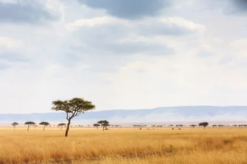 Foto op Aluminium Kenya Open Field With Elephants in Background © adogslifephoto
