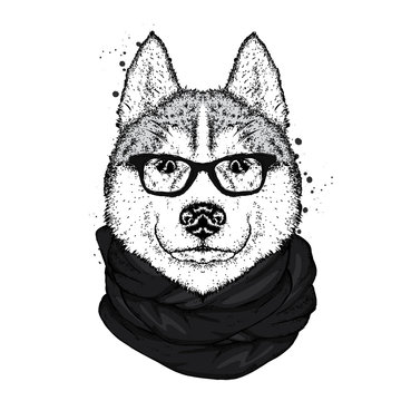 Husky in a stylish hat, scarf and glasses. A pedigree dog in clothes and accessories. Fashion & Style. Vector illustration.