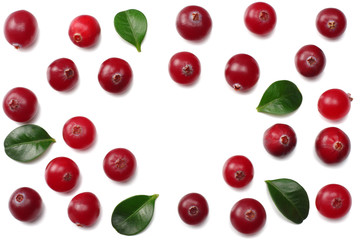 Cranberry with leaves isolated on white. With clipping path. Full depth of field. top view