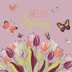 Beautiful tulips with butterflies around. Hello Spring. Vector illustration on light violet background