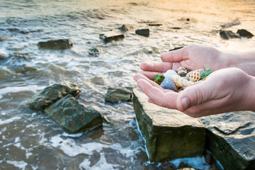 Shells in the hands 2