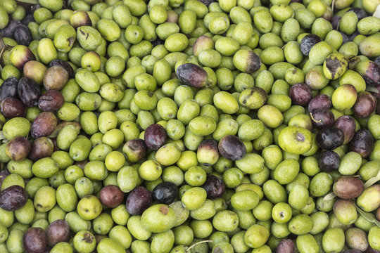 Pattern of fresh olives as a background concept
