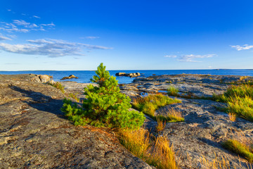 Fototapeta na wymiar Beautiful coastline of Baltic sea, Sweden