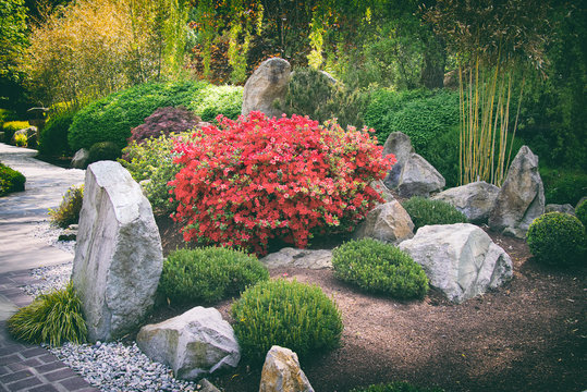 japanese garden wit big stones and pavement, chinese garden in summer