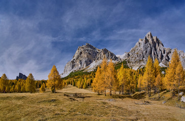 Tree, meadow and Monte Lagazuoi