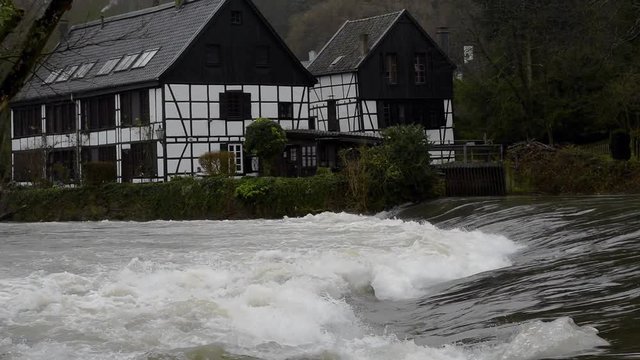 Kotten 이미지 찾아보기 103 스톡 사진, 벡터 및 비디오 Adobe Stock