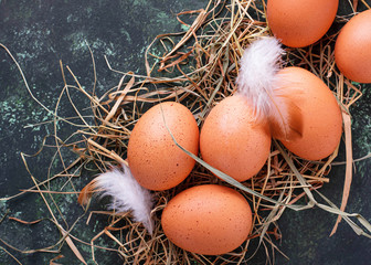 Raw chicken eggs on straw