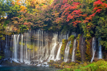 Fototapeta na wymiar shiraito waterfall