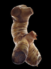 Exotic and Creative Food