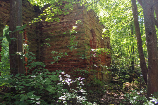 Monastery walls in the forest.
