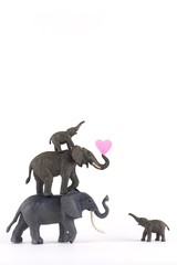 elephants in love on white background with hearts and family for valentines day  plenty of room for type