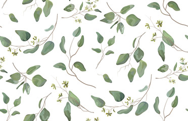 Eucalyptus different tree, foliage natural branches with green leaves seeds tropical seamless pattern, watercolor style. Vector decorative beautiful cute elegant illustration isolated white background