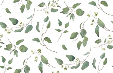 Behang Aquarel bladerprint Eucalyptus verschillende boom, gebladerte natuurlijke takken met groene bladeren zaden tropische naadloze patroon, aquarel stijl. Vector decoratieve mooie schattige elegante illustratie geïsoleerde witte achtergrond