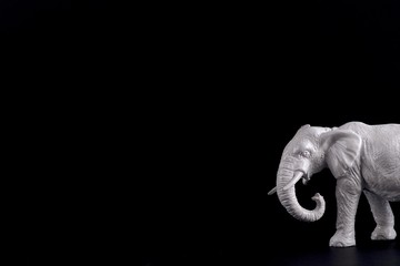 white elephant on black background great for white elephant sale 