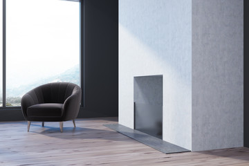 White and gray living room corner, fireplace