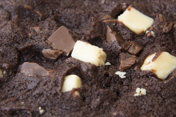 cookies close up on a wooden board.