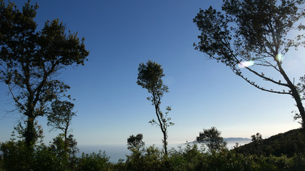 Foresta mediterranea in Toscana sul Monte Argentario