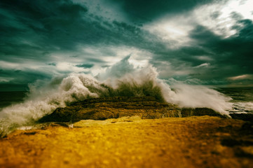 The Wave