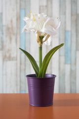 flowers in small pots on a table. Artificial flower