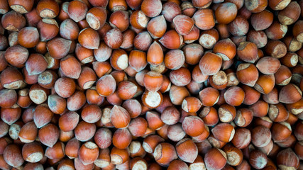 Hazelnuts. Food background. Stack of hazelnuts. Hazelnut background