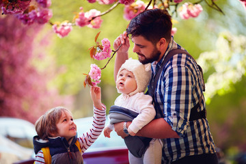 happy father with kids on the walk in spring city, baby carrier, paternal leave