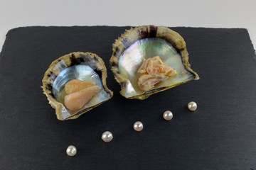 真珠貝の貝柱と真珠