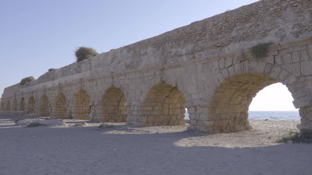 Bird lands near Caesarea aqueduct