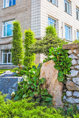 Part of the Park-style Alpine slide. Siberia, Russia