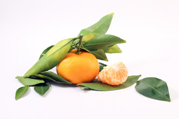 Yellow Tangerine Mandarin Orange