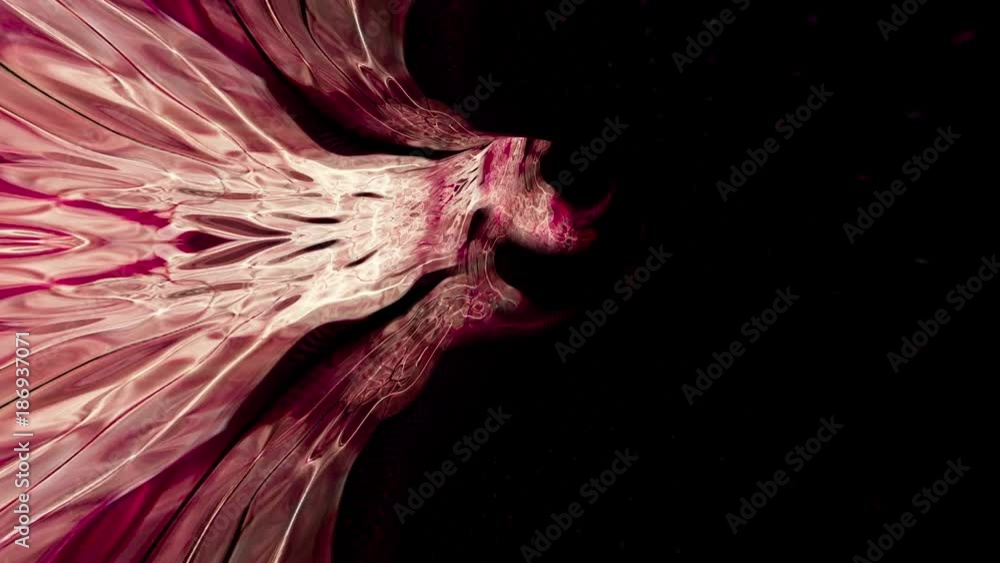 Canvas Prints tunnel vision 118: traveling through a tunnel of fractal red light (loop).