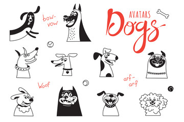 Avatar dogs. Funny lap-dog, happy pug, cheerful mongrels and other breeds.