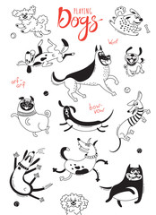 Playing dogs. Funny lap-dog, happy pug, mongrels and other breeds. Set of isolated vector drawings for design - 186937694