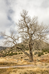 Winter in Southern Colorado