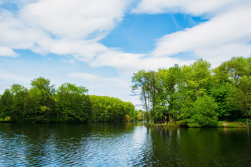 Trees on the shore of the lake in Victory Park Minsk