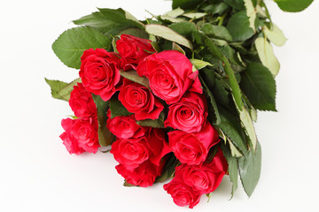 Obraz premium czerwone róże